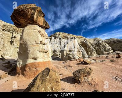 I Toadsgools vicino a Kanab Utah Foto Stock