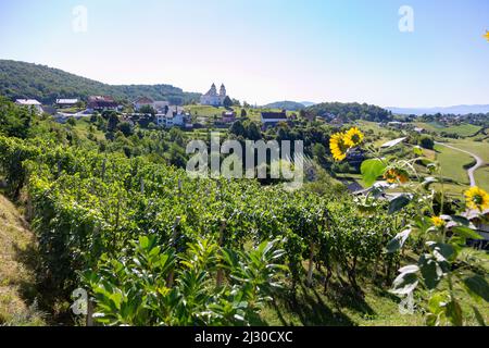 Dolnji Suhor pri Metliki, Paesaggio del Bela Krajina vicino a Metlika Foto Stock