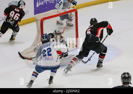 29 settembre 2015 - Corea del Sud, Goyang : le pale di ghiaccio di Tohoku del Giappone e gli alti 1 della Corea del Sud giocano durante l'Asia Ice Hockey League 2015 al Goyang Ice link di Gyeong Gi, Corea del Sud. Oggi la partita ha vinto le pale di ghiaccio Tohoku, punteggio 2-0. Foto Stock