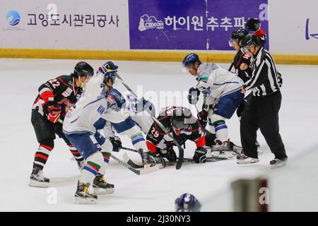 29 settembre 2015 - Corea del Sud, Goyang : le pale di ghiaccio di Tohoku del Giappone e gli alti 1 della Corea del Sud giocano durante l'Asia Ice Hockey League 2015 al Goyang Ice link di Gyeong Gi, Corea del Sud. Oggi la partita ha vinto le pale di ghiaccio Tohoku, punteggio 2-0. Foto Stock