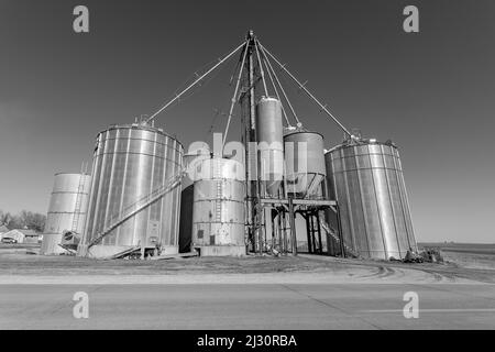 Elevatore di grano in Morley; Iowa Foto Stock