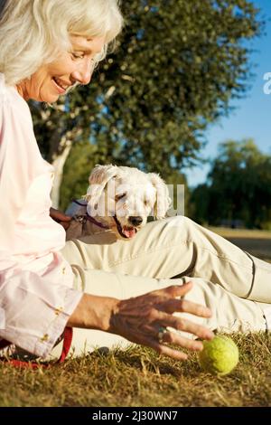 Donna anziana con il suo cane Cockapoo anziano Foto Stock