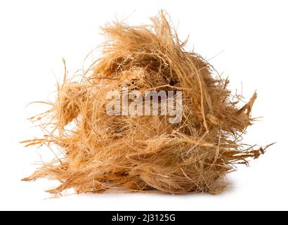 mucchio di fibra di buccia di cocco o di cocco, commercialmente importante fibra naturale estratto da buccia esterna di frutta di cocco, isolato su sfondo bianco Foto Stock