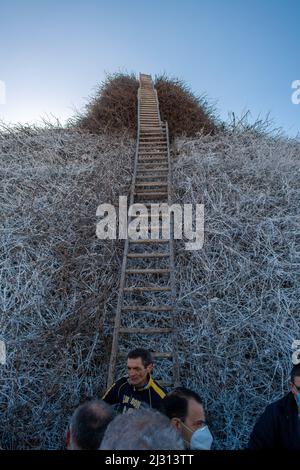 Il termine Focara viene utilizzato nel Salento per indicare un grande mucchio di fasci che si costruisce e si illumina in occasione della festa liturgica dedicata a SA Foto Stock