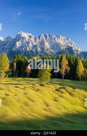 Buckelwiesen tra Mittenwald e Krün, Werdenfelser Land, dietro di loro i Monti Karwendel, alta Baviera, Baviera, Europa Foto Stock
