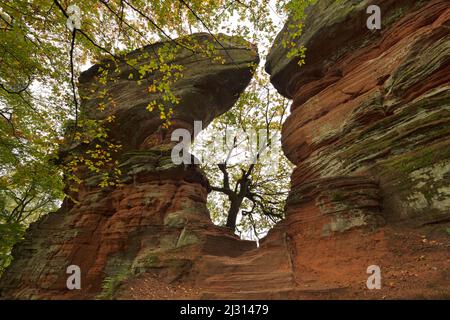 Altschlossfelsen, nei pressi di Eppenbrunn, Foresta Palatinato, Renania-Palatinato, Germania Foto Stock