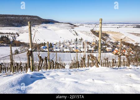Inverno nei vigneti di Castell, bassa Franconia, Franconia, Baviera, Germania, Europa Foto Stock