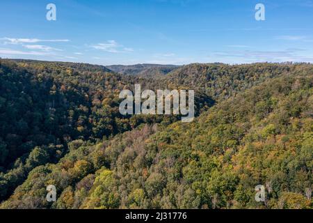 Selketal in autunno, Harz, Sassonia-Anhalt, Germania Foto Stock