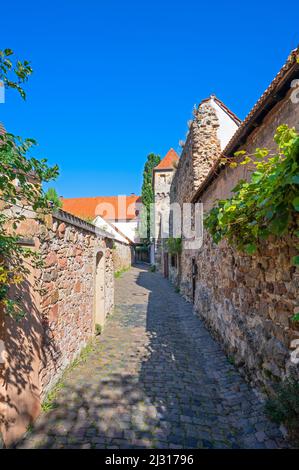 Muro della città di Freinsheim sulla strada del vino tedesco, Renania-Palatinato, Germania Foto Stock