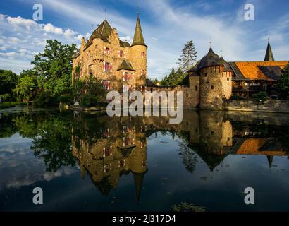 Castello di Satzvey a Mechernich al mattino presto in estate, Voreifel; distretto di Euskrichen, Renania settentrionale-Vestalen, Germania Foto Stock