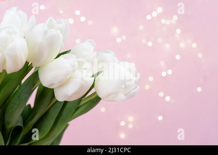 Bel bouquet delicato di fiori di tulipano su sfondo rosa intestazione. Banner Web panoramico con spazio di copia per il design, bokeh. Concetto di vacanze di primavera Foto Stock