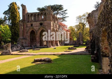 Dryburgh Abbey, romantica rovina dell'abbazia, Borders, Scozia, Regno Unito Foto Stock