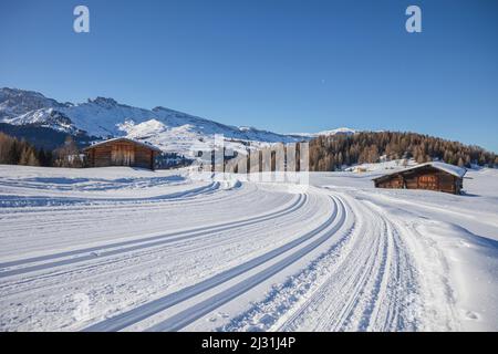 Piste da sci sull'altopiano vicino all'Alpe di Seiser e Ortisei a Gröden aka Val Gardena, Provincia Autonoma di Bolzano - Alto Adige, Italia Foto Stock