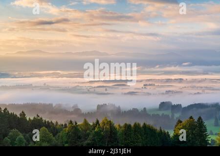 Vista da Auerberg a sud su un nebbia mattina presto autunno, Baviera, Germania, Europa Foto Stock