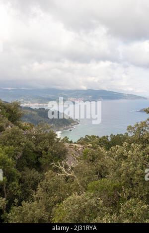 riserva della biosfera di urdaibai nella provincia di vizcaya nel nord della spagna Foto Stock