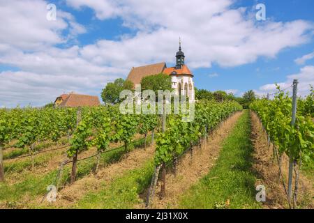 Volkach; Chiesa del pellegrinaggio Maria im Weingarten Foto Stock