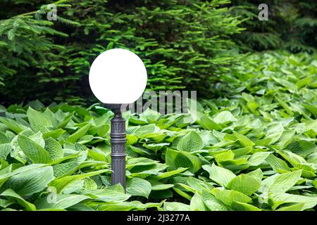 lanterna sferica bianca su un palo di ferro di illuminazione del giardino in un letto di fiori con hosta psyllium con foglie verdi e un albero sempreverde di pino nella parte posteriore Foto Stock