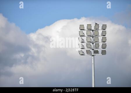 Wakefield, Inghilterra - 3rd Aprile 2022 - uccello al semaforo. Rugby League Betfred Super League Round 7 Wakefield Trinity vs Salford Red Devils al Be Well Support Stadium, Wakefield, Regno Unito Dean Williams Foto Stock