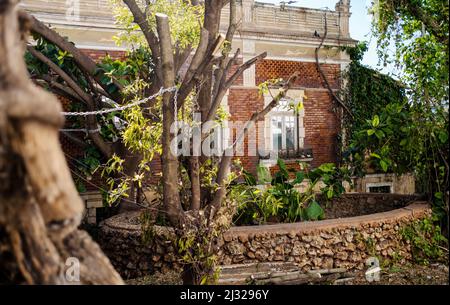 Casa abbandonata coperta di piastrelle marroni circondata dalla natura nel centro di Faro, Algarve, Portogallo Foto Stock