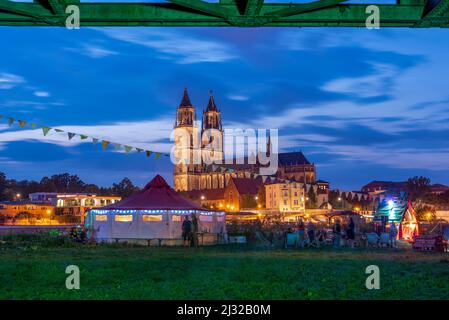 Tenda da festa sull'Elba, dietro la Cattedrale di Magdeburg, Sassonia-Anhalt, Germania Foto Stock
