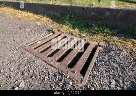 Erbacce che crescono in grondaia e fognatura, Carmarthenshire, Galles, Regno Unito Foto Stock