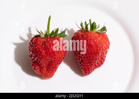 Due fragole fresche mature su piatto bianco Foto Stock