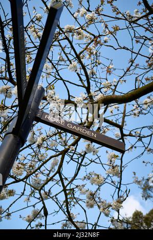 Insegna sotto i fiori primaverili che indicano il Giardino delle Rose in Stanley Park, Blackpool Foto Stock