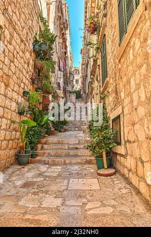Belle stalle a Dubrovnik, Croazia, poco spazio tra le case Foto Stock