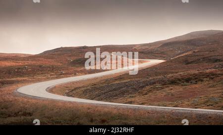 Curve stradali della Wilderness Road, sull'altopiano di Vildmarksvagen a Jämtland in autunno in Svezia Foto Stock