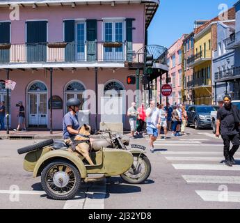 NEW ORLEANS, LA, USA - 3 APRILE 2022: L'uomo e il suo cane che cavalcavano in una moto d'epoca e sidecar si fermavano a luce rossa con pedoni in crosswalk in Foto Stock