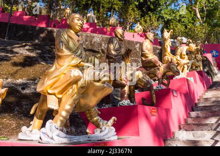 Diecimila buddhas monastero. Bel colpo di luce del giorno del percorso che sale fino al famoso tempio religioso. Un sacco di statue di buddha d'oro Foto Stock