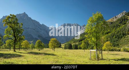 Großer Ahornboden, Monti del Karwendel, Tirolo, Austria, Europa Foto Stock