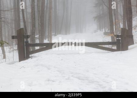 Strada inghiottito nella nebbia a Flume Gorge a Lincoln, New Hampshire in una calda giornata invernale nel mese di febbraio. Foto Stock