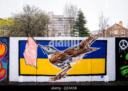 Nuova Street art apparsa a Leith, Edimburgo, in risposta all'invasione dell'Ucraina da parte della Russia. Il murale presenta un Nightingale, l'uccello nazionale ufficiale dell'Ucraina, contro la bandiera del paese. Data foto: Martedì 5 aprile 2022. Foto Stock