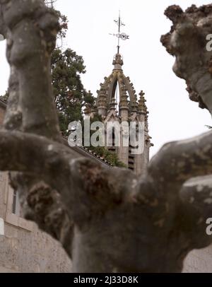 Spettacolare cattedrale di Burgos Foto Stock