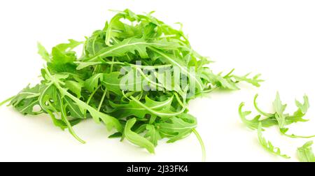 nuova rucola fattoria su sfondo bianco Foto Stock