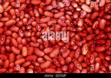 Fagioli rossi immersi in acqua prima di essere cotti Foto Stock