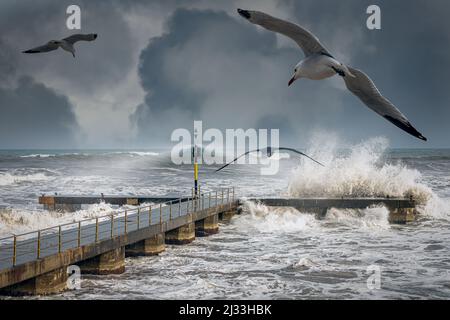 Onde tempestose dell'oceano che si infrangono su un molo durante una tempesta degli inverni Foto Stock