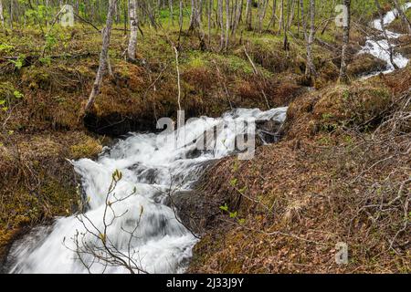 Area escursionistica. Midtre Kaldslett. Tromsø/Norvegia. Foto Stock