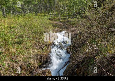 Area escursionistica. Midtre Kaldslett. Tromsø/Norvegia. Foto Stock