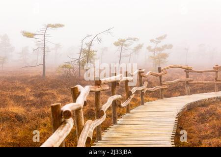 Nebbia d'autunno nel Moro Nero, Fladungen, Rhön-Grabfeld, bassa Franconia, Franconia, Baviera, Germania, Europa Foto Stock