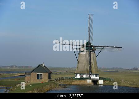 Mulino a vento a Oost, Texel, Paesi Bassi Foto Stock