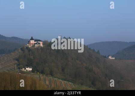 Vista di Marienburg e Prinzenkopfturm vicino a Pünderich sulla bassa Mosella, Renania-Palatinato, Germania Foto Stock