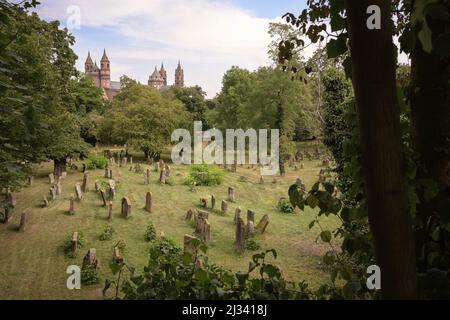 Vecchio cimitero ebraico Heiliger Sand a Worms, patrimonio dell'umanità dell'UNESCO città Shum, Renania-Palatinato, Germania, Europa Foto Stock