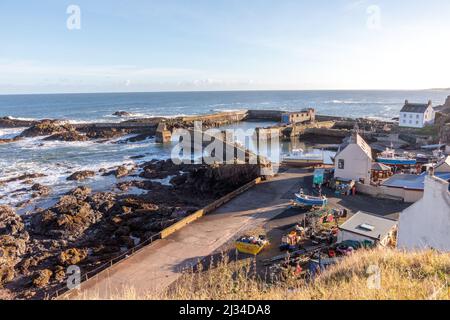 Porto di St Abbs, costa orientale a Eyemouth, Scozia Regno Unito Foto Stock