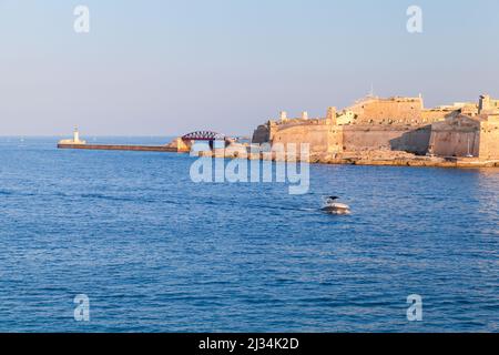 Ponte di Sant'Elmo e Torre faro, Valletta, Malta. Estate vista mare Foto Stock