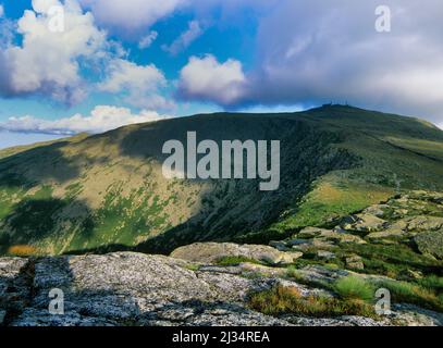 Guardando attraverso la parete del Grande Golfo a Mount Washington dal Clay Loop Trail a Thompson e Meserve's Purchase nel New Hampshire The White MOU Foto Stock