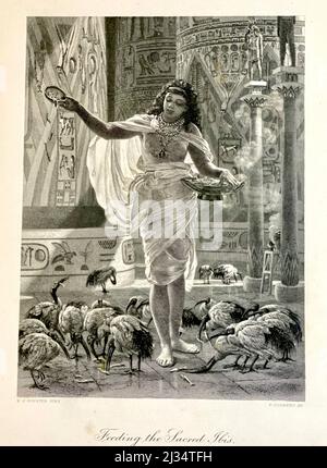 Un'incisione intitolata "Feeding the Sacred Ibis", nella Sala di Karnac, incisa da F. Joubert dal dipinto di Edward John Poynter, dall'editore George Barrie Collection: The International Gallery. Foto Stock