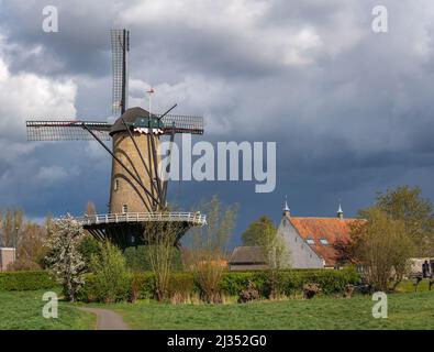 Tipico paesaggio rurale olandese con mulino a vento tradizionale nel villaggio di Terheijden, provincia Brabante Nord Foto Stock