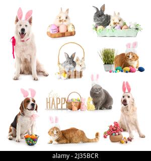 Set di diversi animali con uova di Pasqua e decorazioni isolate su bianco Foto Stock